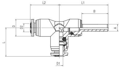prodotto___rs55000_55235_auto-d