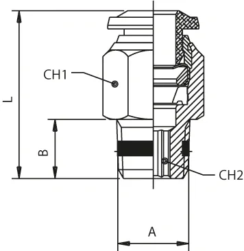 88000d
