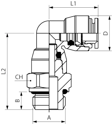 53117d