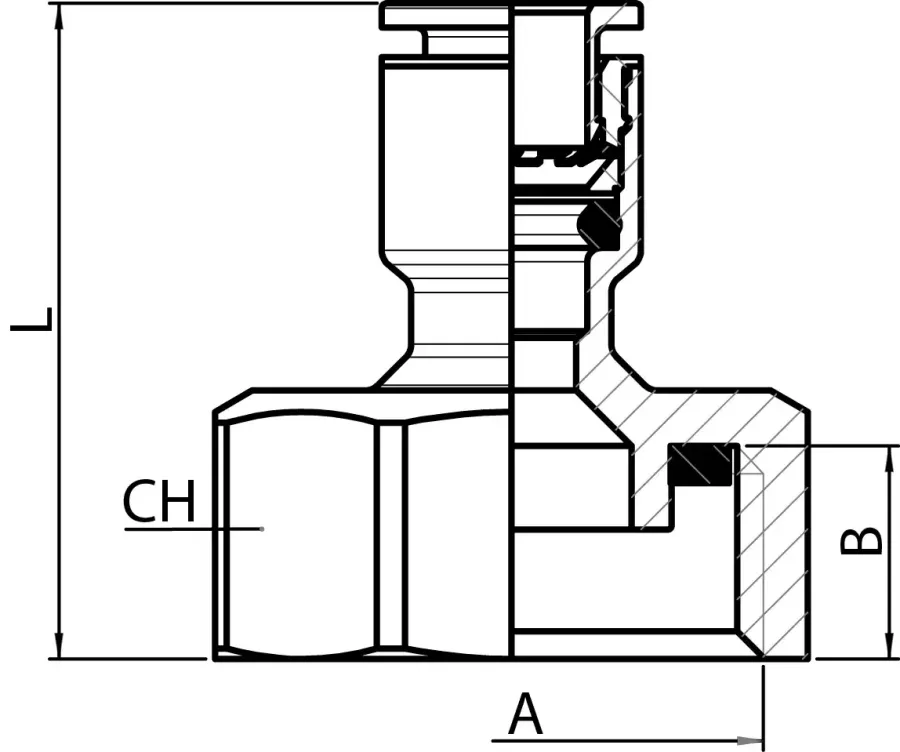 54031d
