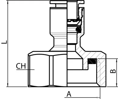 54031d