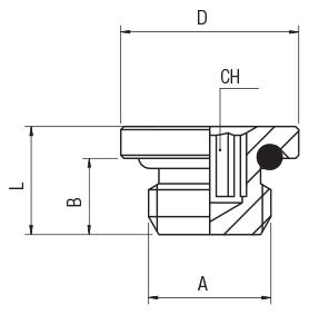 MALE PLUG (PARALLEL) WITH HEXAGON EMBEDDED