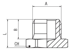 MALE PLUG - BSPP