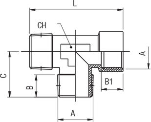 RACOR A T HEMBRA LATERAL