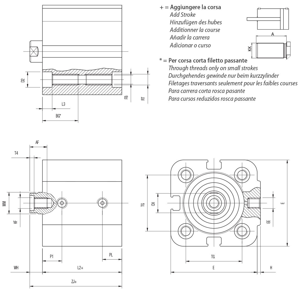 DOUBLE ACTING MAGNETIC - Bore from 12 to 25