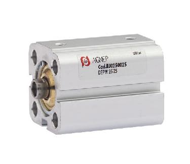 DOUBLE ACTING MAGNETIC - Bore from 12 to 25