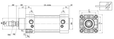 DOUBLE ACTING CUSHIONED MAGNETIC