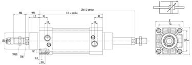 DOPPIO EFFETTO STELO PASSANTE AMMORTIZZATO MAGNETICO