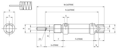 SEMPLICE EFFETTO MAGNETICO - MOLLA IN SPINTA