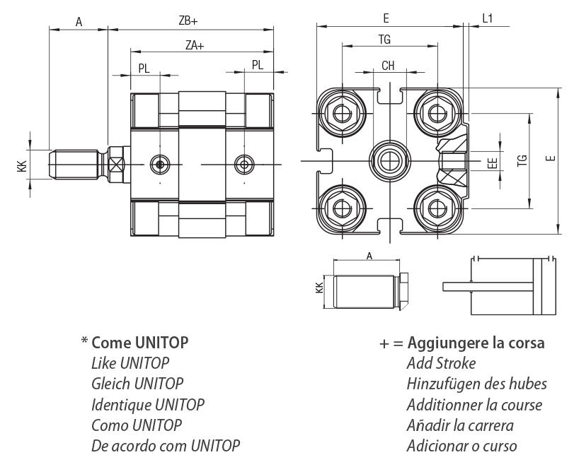 WFM - DOUBLE ACTING MAGNETIC - Male Rod - Bore from 20 to 25