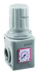 REGULATOR - NPTF