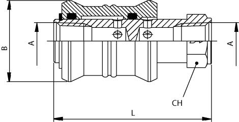 SLIDE VALVE - FEMALE NPTF