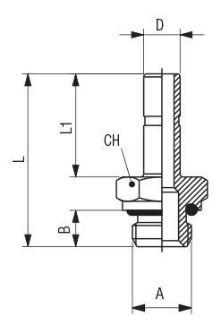 STANDPIPE - BSPP