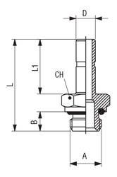 STANDPIPE - BSPP