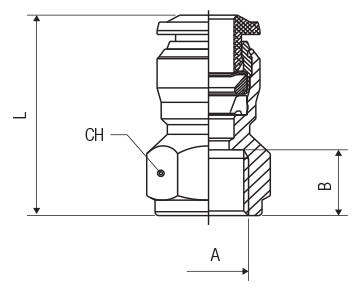 STRAIGHT FEMALE - BSPP