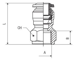 STRAIGHT FEMALE - BSPP